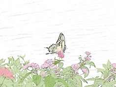 Notecard